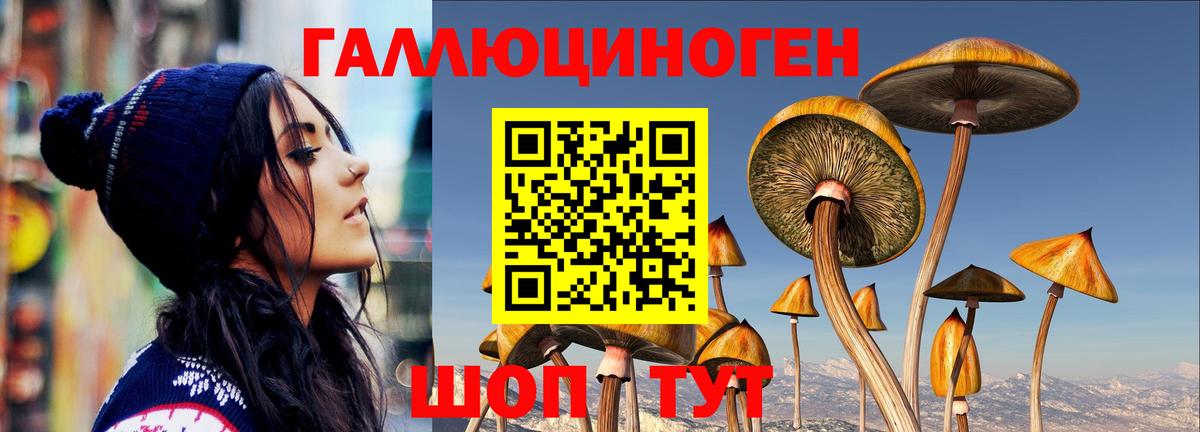 Галлюциногенные грибы Psilocybe Учалы
